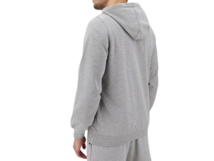 DOLPHIN Grey Hoodies With Elegance Dream